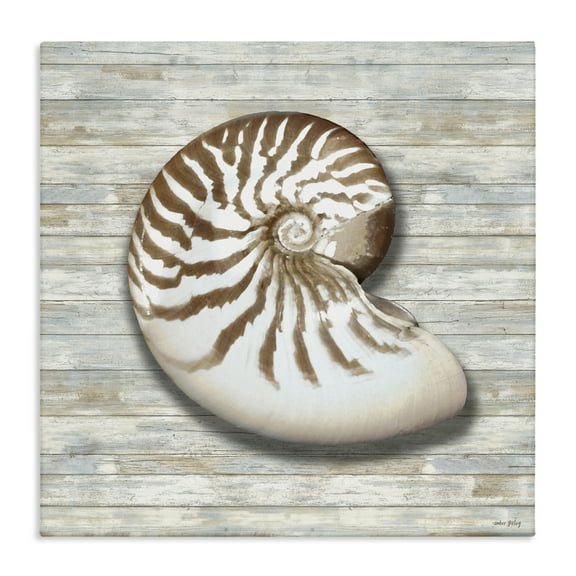 Stupell Industries Cowrie Shell on Shiplap Canvas Wall Art design by Amber Sterling, 24 x 24