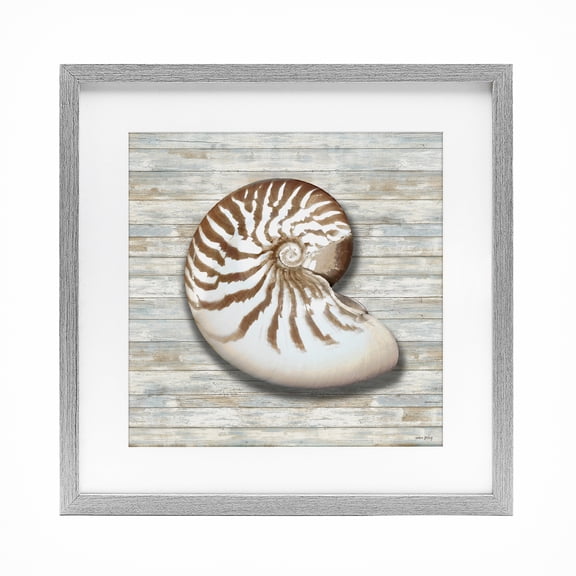 Stupell Industries Cowrie Shell on Shiplap Gray Framed Print Under Glass design by Amber Sterling, 16 x 16