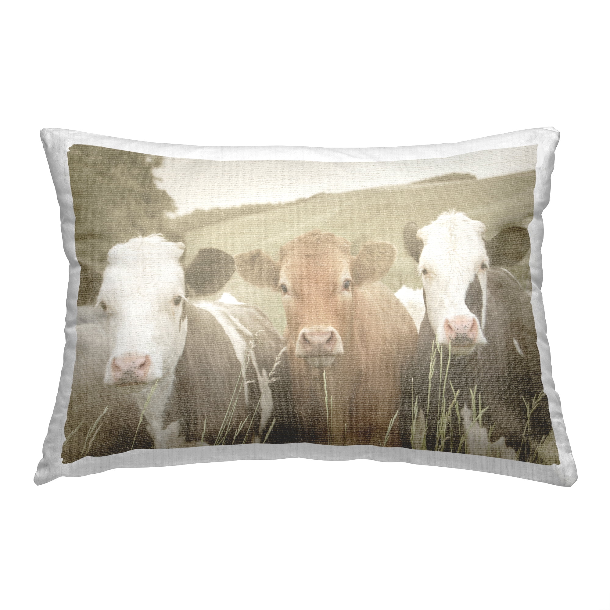 Stupell Industries Cows in Rural Field Decorative Printed Throw Pillow, 14 x 20