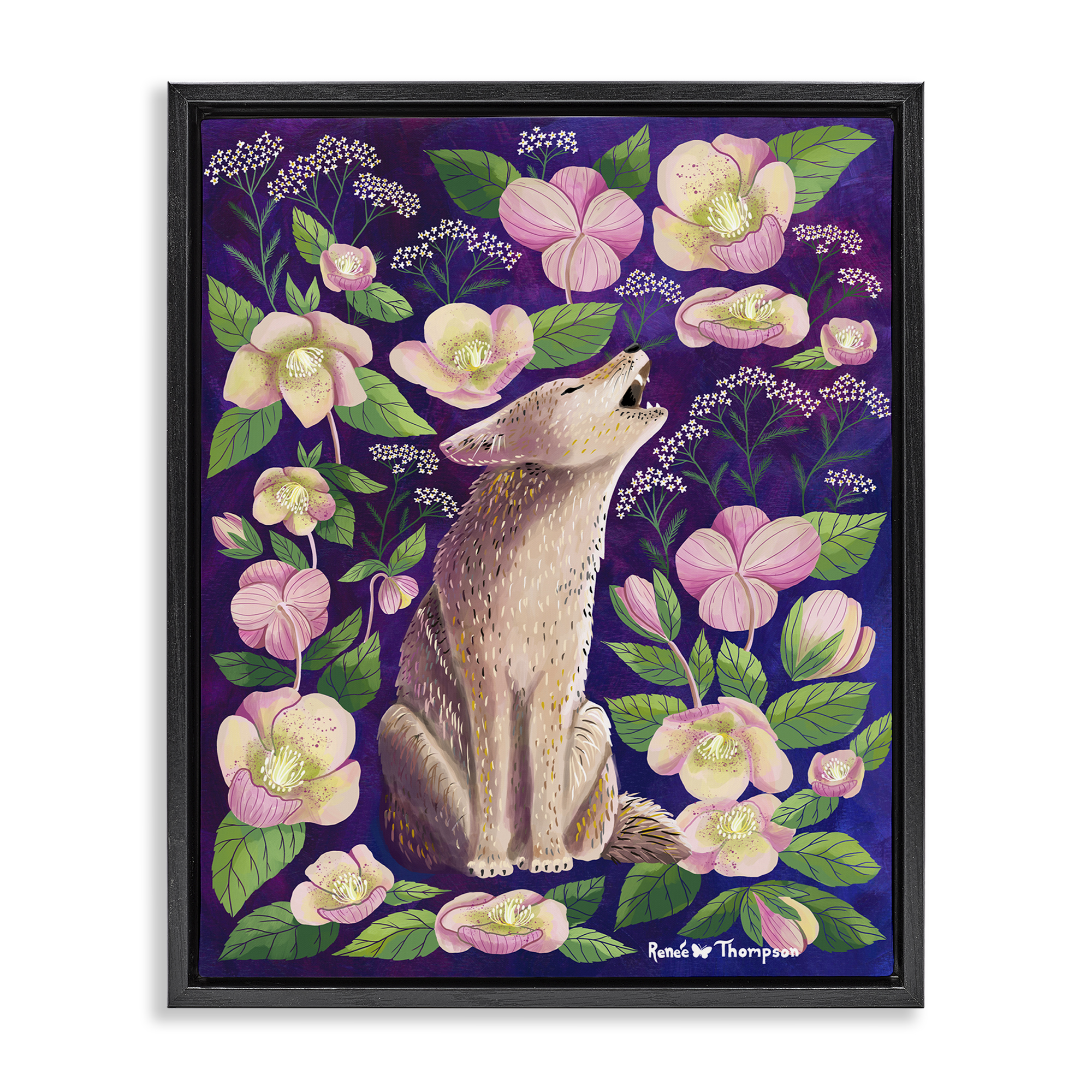 Stupell Industries Coyote & Pink Florals Animals Painting Black Floater Framed Canvas Art Print Wall Art, 17 x 21