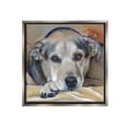 thumbnail image 1 of Stupell Industries Cozy Dog Portrait Animals & Insects Painting Gray Floater Framed Canvas Art Print Wall Art, 18 x 18, 1 of 10