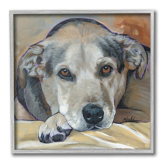 Stupell Industries Cozy Dog Portrait Animals & Insects Painting Gray Framed Art Print Wall Art, 24 x 24