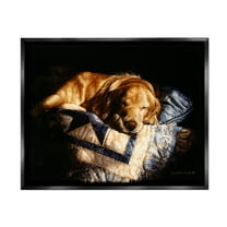 Stupell Industries Cozy Dog Sleeping Quilt Animal Animals & Insects Painting Black Floater Framed Art Print Wall Art