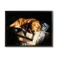 thumbnail image 1 of Stupell Industries Cozy Dog Sleeping Quilt Animal Animals & Insects Painting Black Framed Art Print Wall Art, 1 of 5