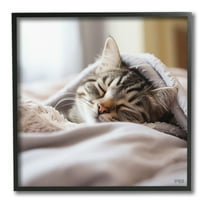 Stupell Industries Cozy Sleeping Kitten Animals & Insects Painting Black Framed Art Print Wall Art, 12 x 12