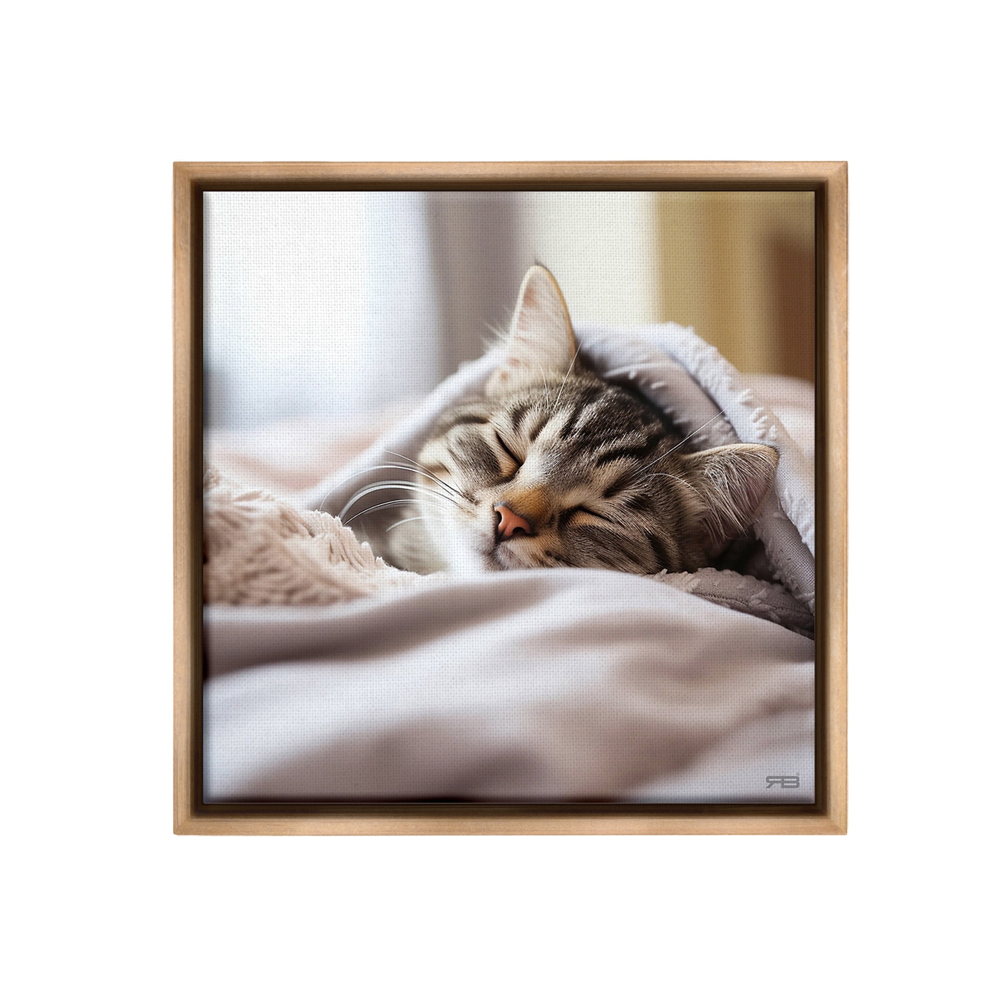 Stupell Industries Cozy Sleeping Kitten Animals & Insects Painting Brown Floater Framed Canvas Art Print Wall Art, 25 x 25