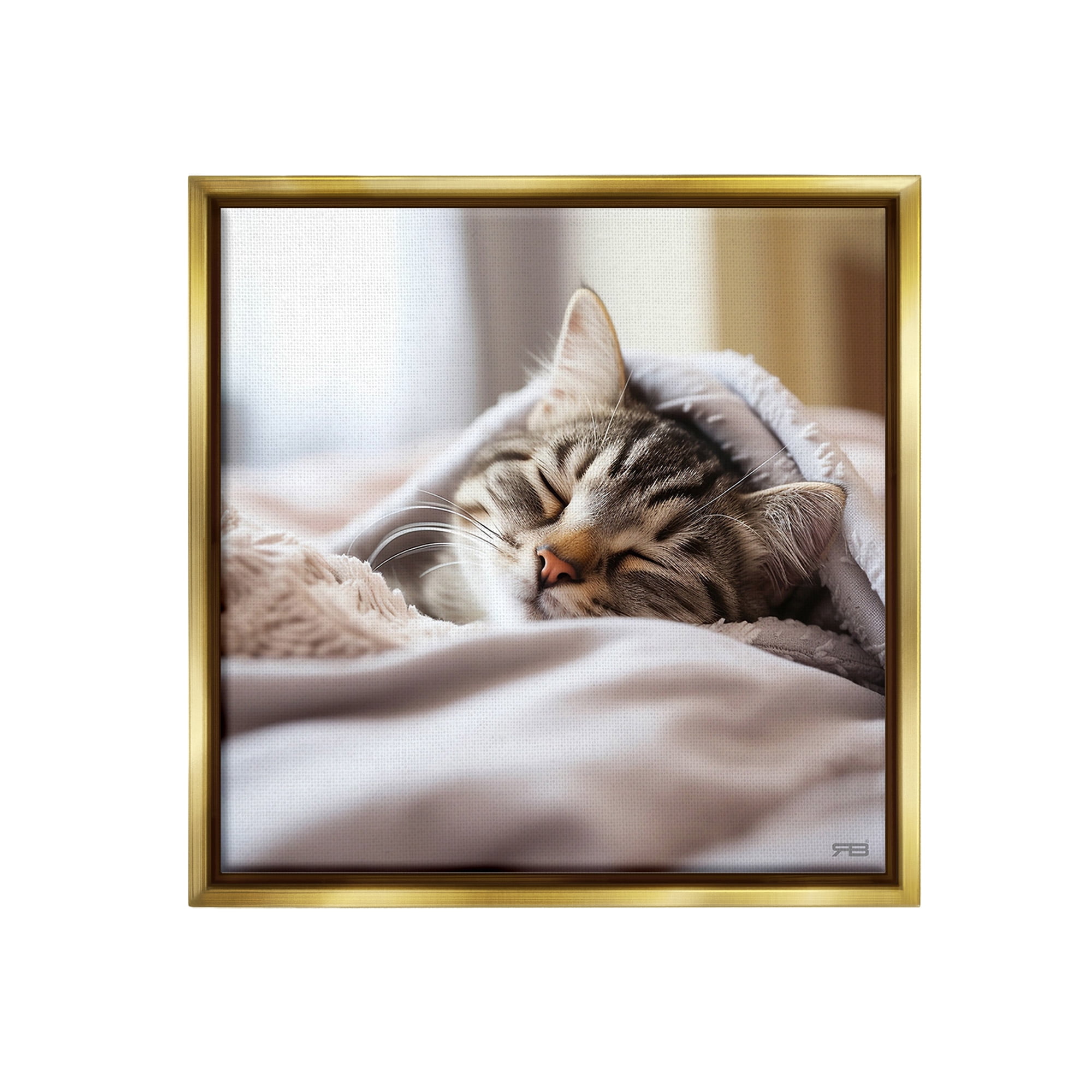 Stupell Industries Cozy Sleeping Kitten Animals & Insects Painting Gold Floater Framed Canvas Art Print Wall Art, 25 x 25