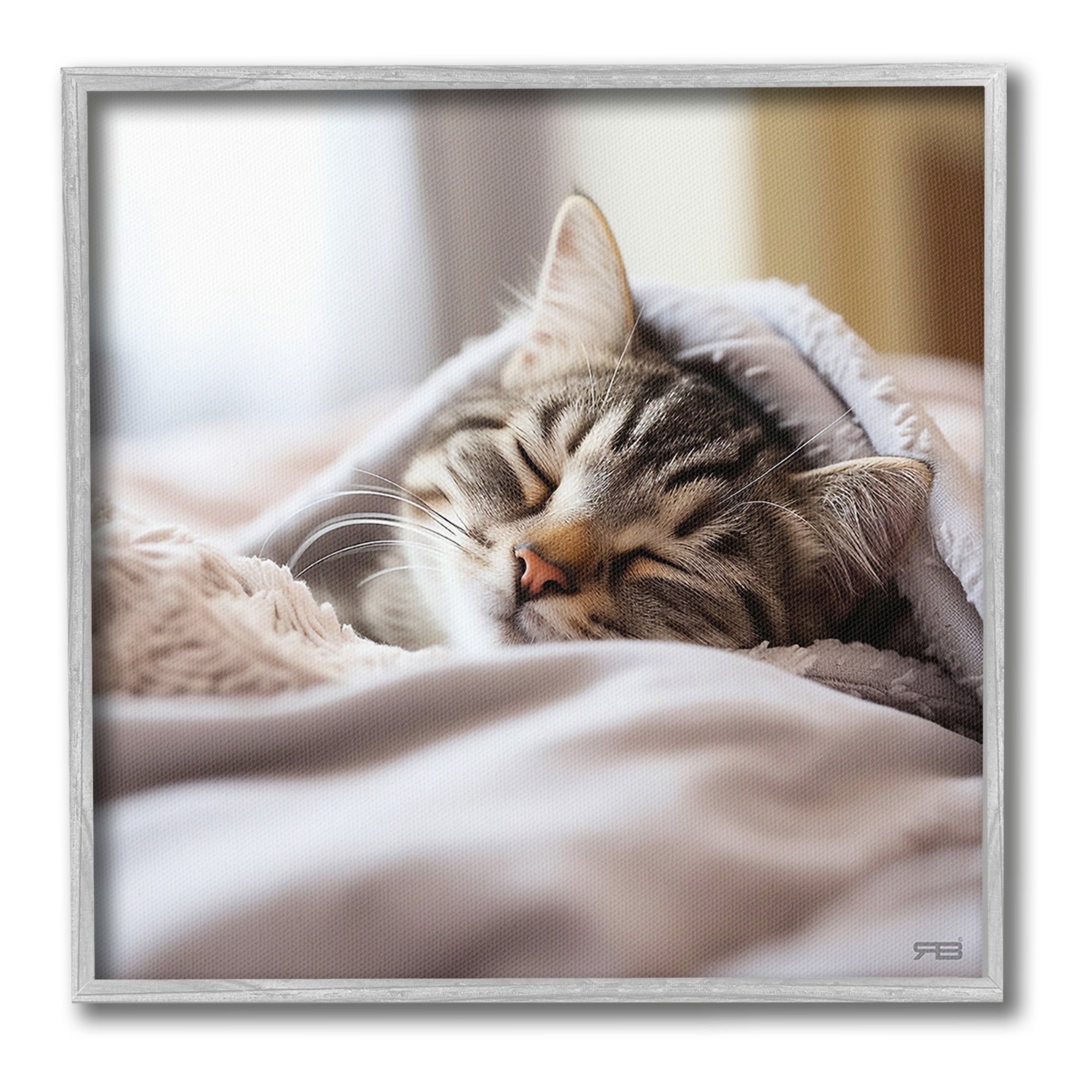 Stupell Industries Cozy Sleeping Kitten Animals & Insects Painting Gray Framed Art Print Wall Art, 24 x 24