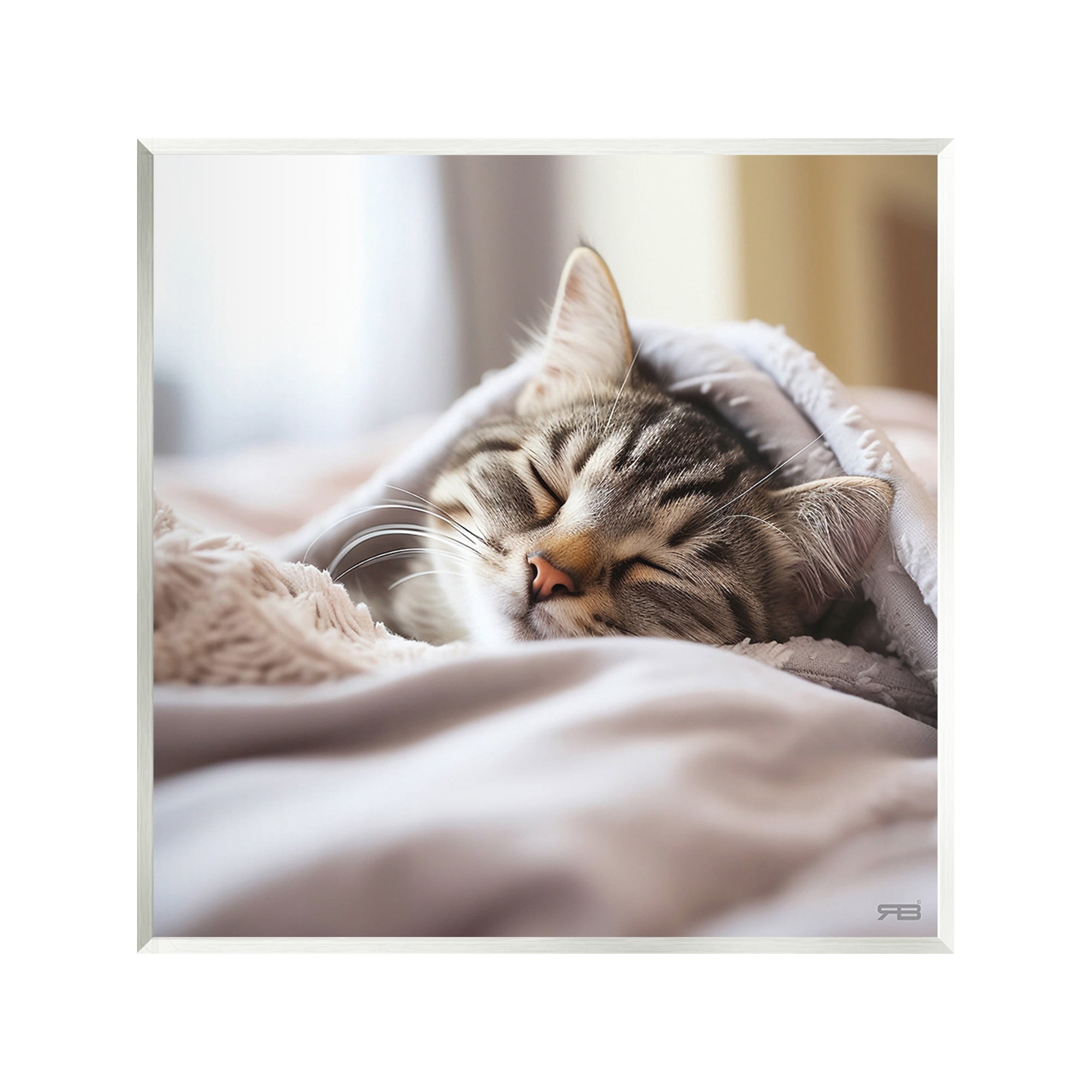 Stupell Industries Cozy Sleeping Kitten Animals & Insects Painting Unframed Art Print Wall Art, 12 x 12