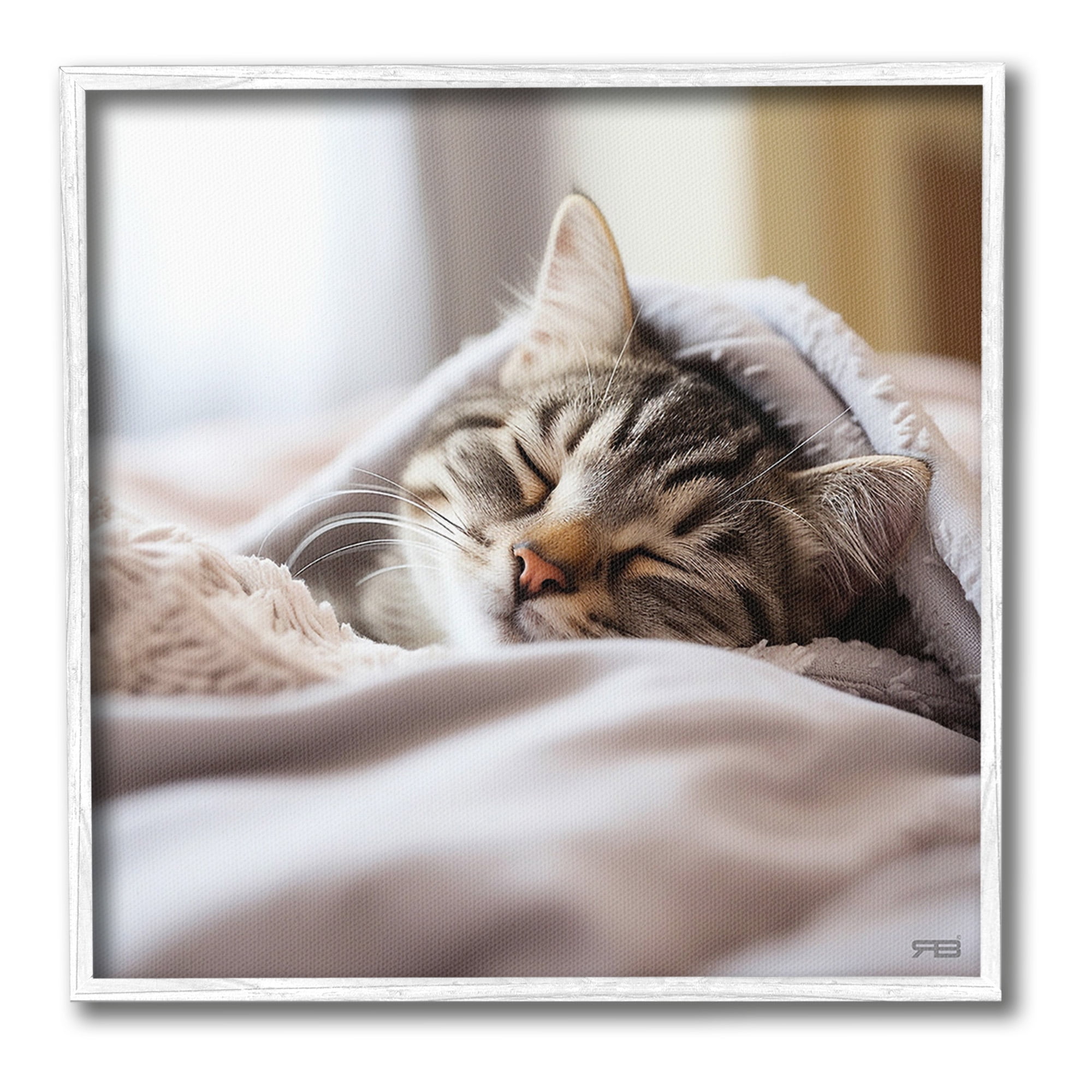 Stupell Industries Cozy Sleeping Kitten Animals & Insects Painting White Framed Art Print Wall Art, 17 x 17