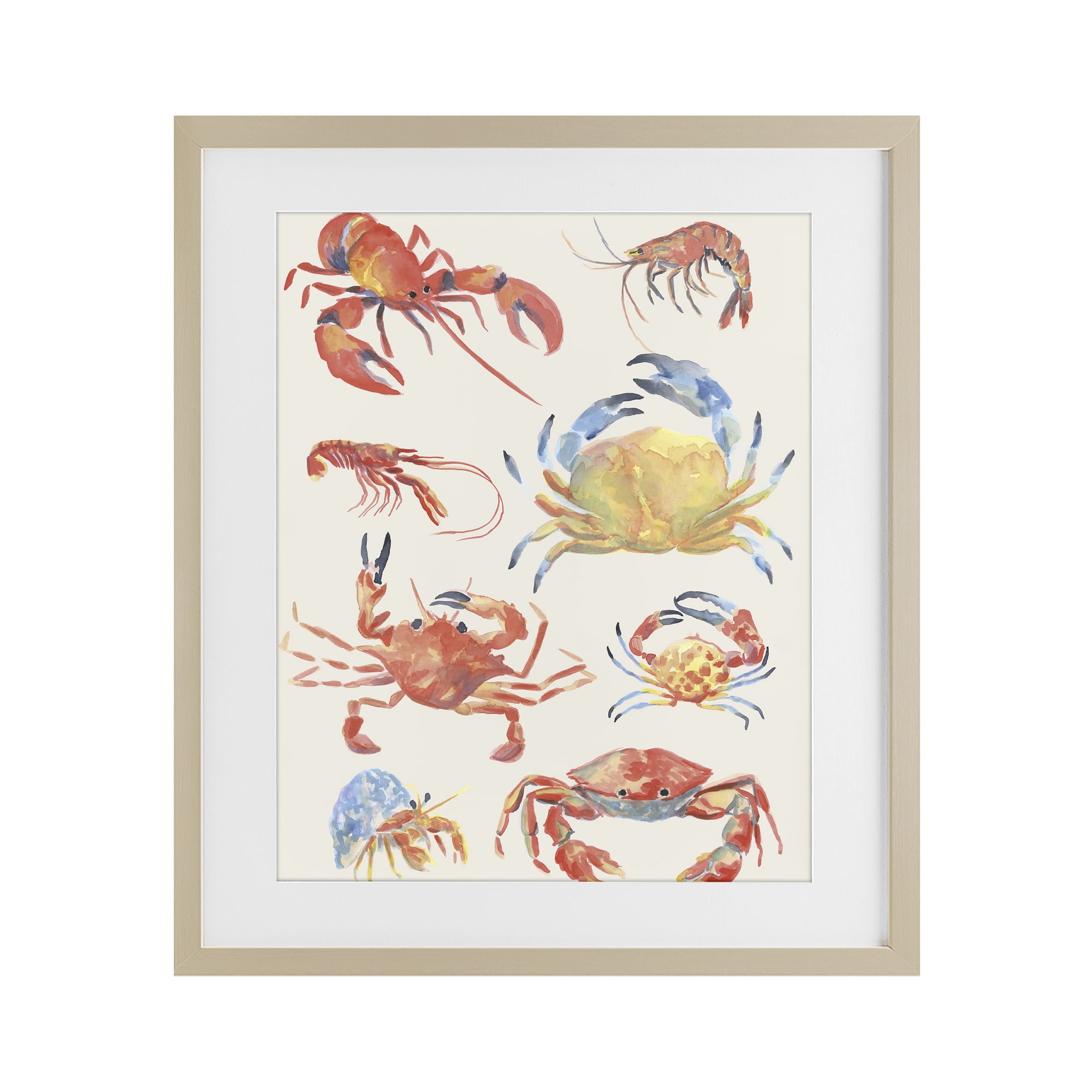 Stupell Industries Crab & Crustacean Collection Birch Framed Print Under Glass, design by June Erica Vess
