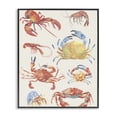 thumbnail image 1 of Stupell Industries Rustic Lodge Crab & Crustacean Collection Black Framed Giclee Art, 11 x 14, by June Erica Vess, 1 of 8