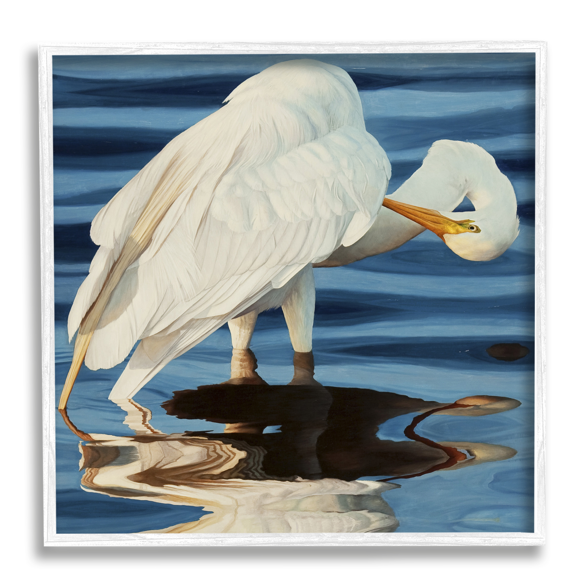 Stupell Industries Crane Bird Preening Animals & Insects Photography White Framed Art Print Wall Art, 12 x 12