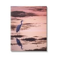 thumbnail image 1 of Stupell Industries Crane Bird in Sunrise Marsh Coastal Photography Gallery Wrapped Canvas Print Wall Art, 1 of 5