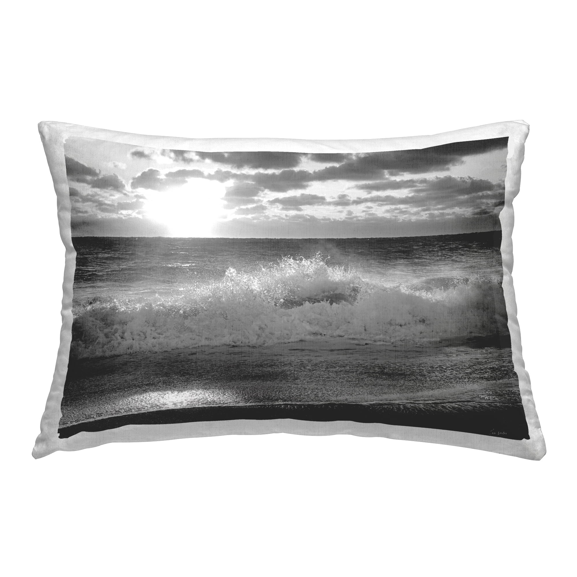 Stupell Industries Crashing Sea Waves Decorative Printed Throw Pillow Design by Lori Deiter.