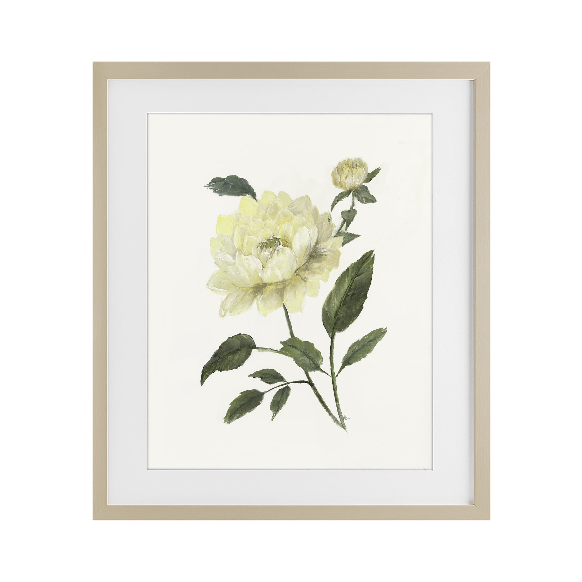 Stupell Industries Cream Garden Peony with Buds Birch Framed Print Under Glass, design by Nan