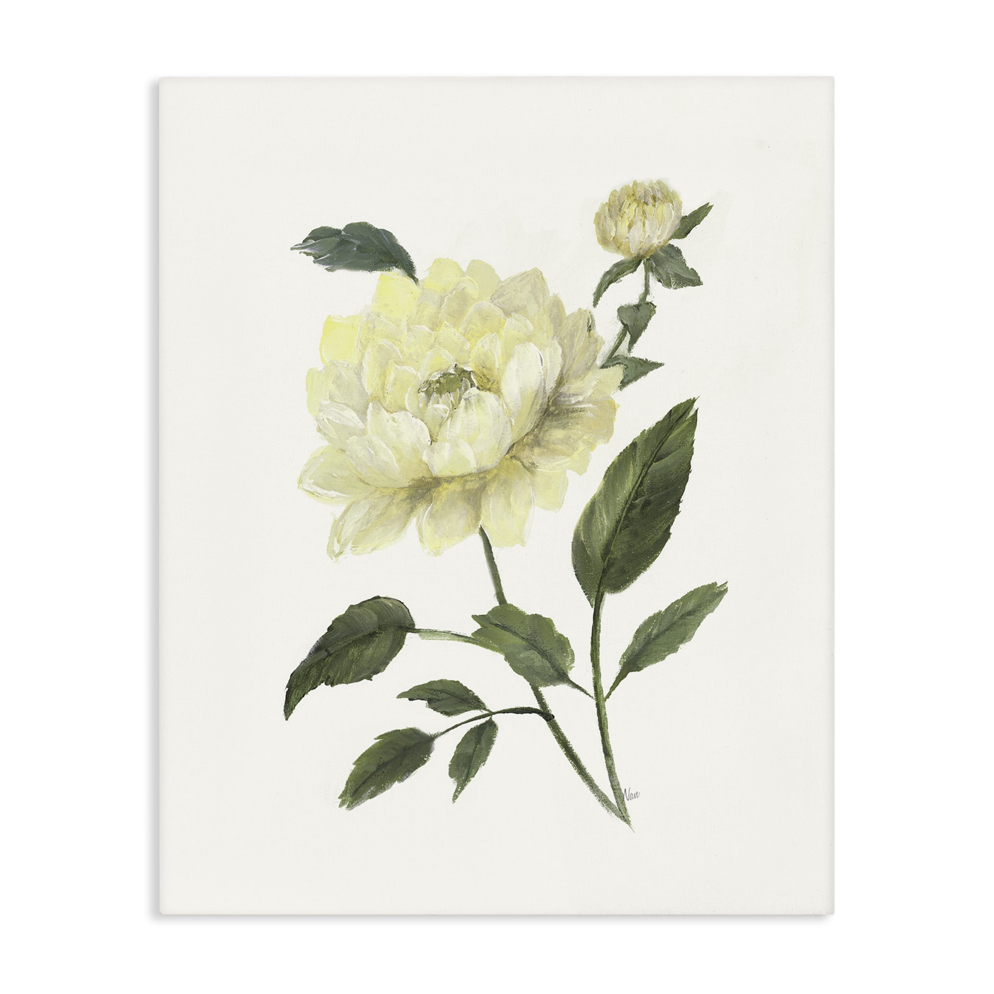 Stupell Industries Cream Garden Peony with Buds Canvas Wall Art, design by Nan