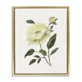 thumbnail image 1 of Stupell Industries Transitional Cream Garden Peony with Buds Gold Floating Frame Canvas Art, 17 x 21, by Nan, 1 of 8