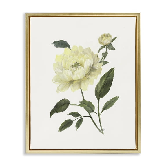 Stupell Industries Transitional Cream Garden Peony with Buds Gold Floating Frame Canvas Art, 17 x 21, by Nan