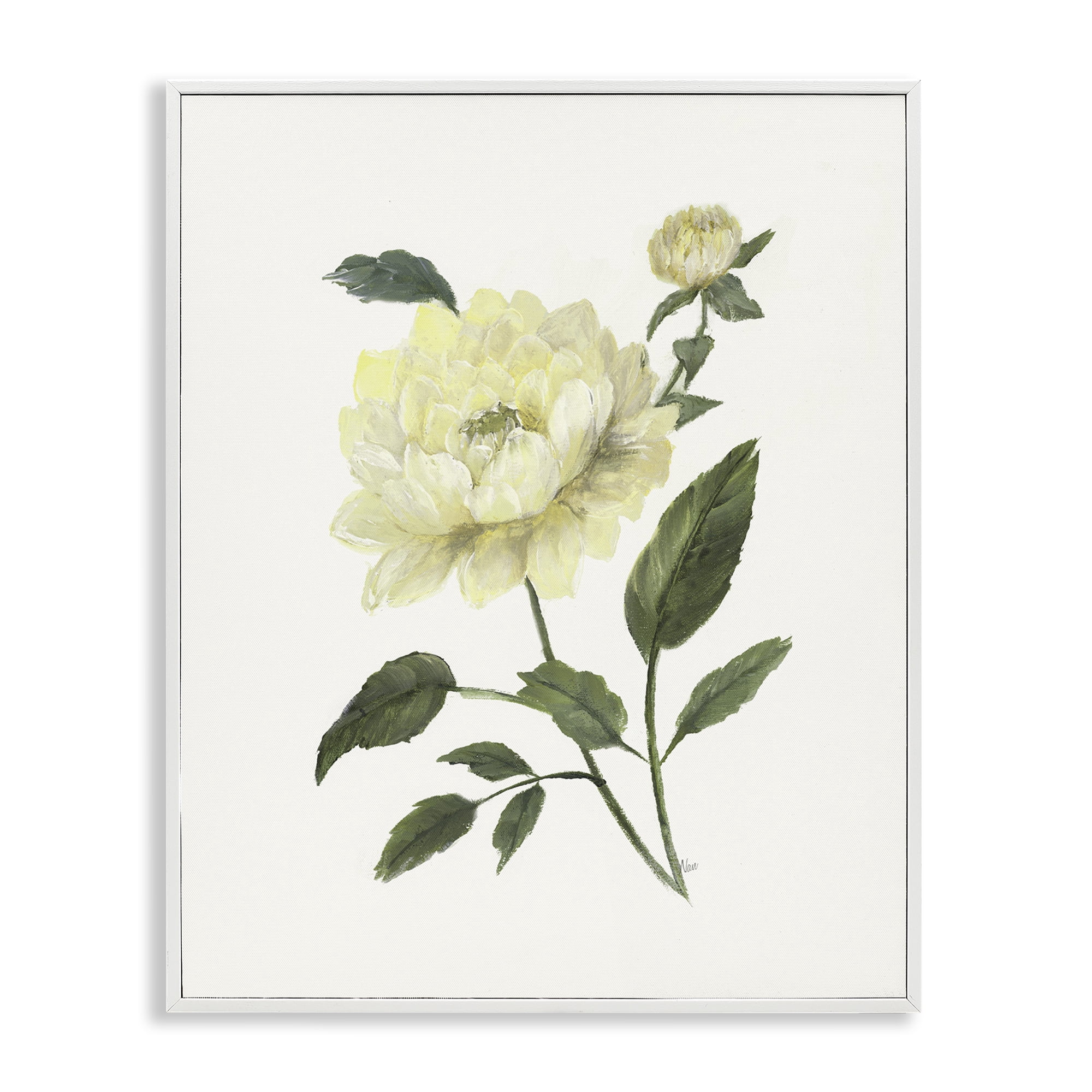 Stupell Industries Cream Garden Peony with Buds White Framed Giclee Art, design by Nan