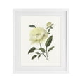 thumbnail image 1 of Stupell Industries Transitional Cream Garden Peony with Buds White Framed Print Under Glass, 17 x 21, by Nan, 1 of 8