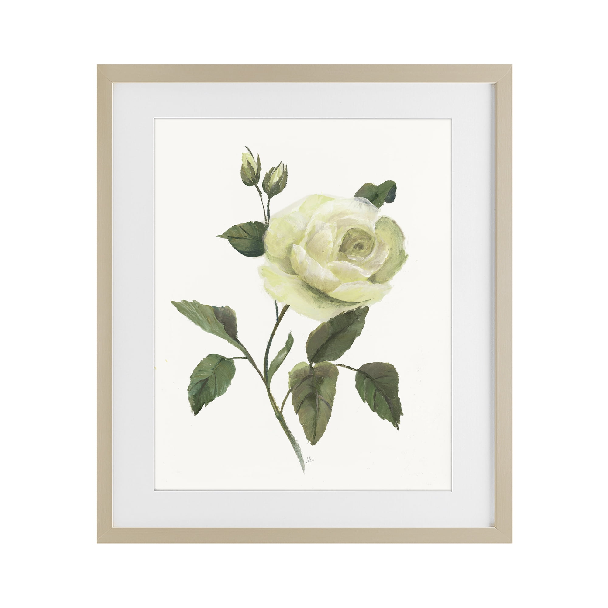 Stupell Industries Cream Garden Rose with Buds Birch Framed Print Under Glass, design by Nan