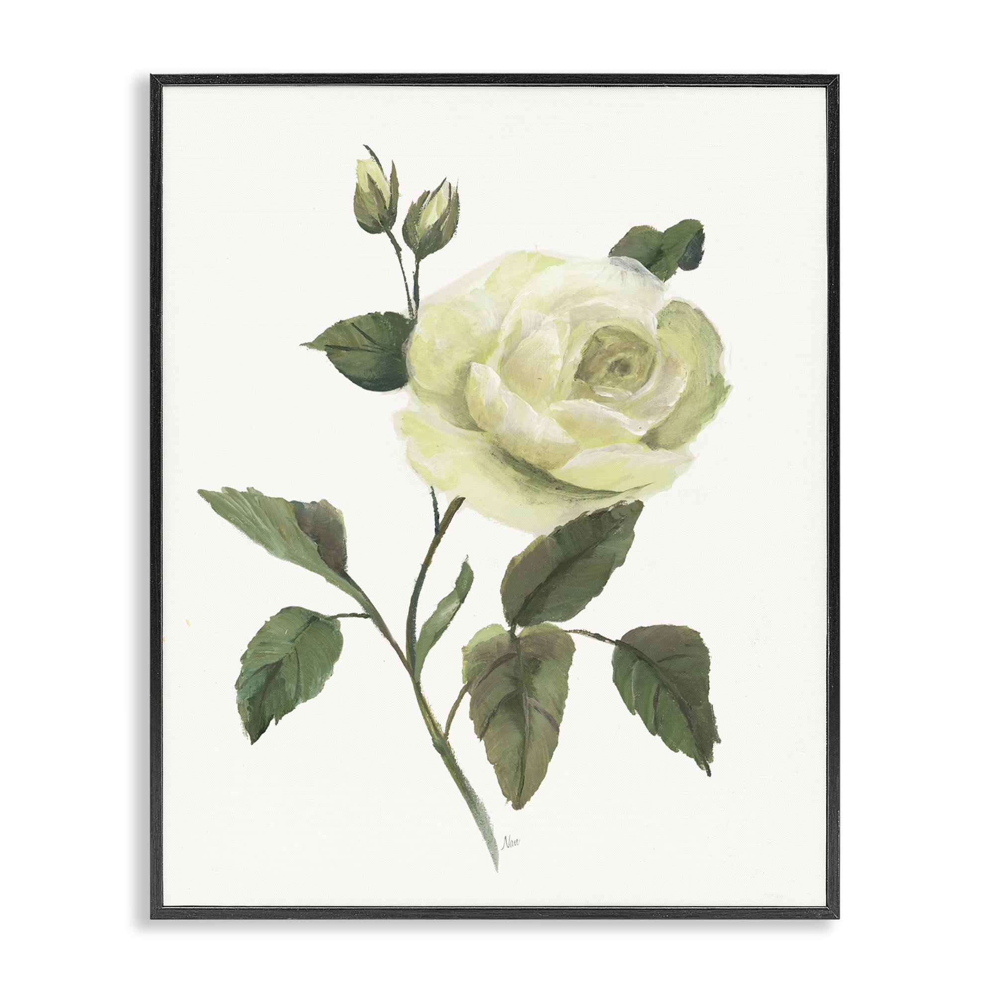 Stupell Industries Cream Garden Rose with Buds Black Framed Giclee Art, design by Nan