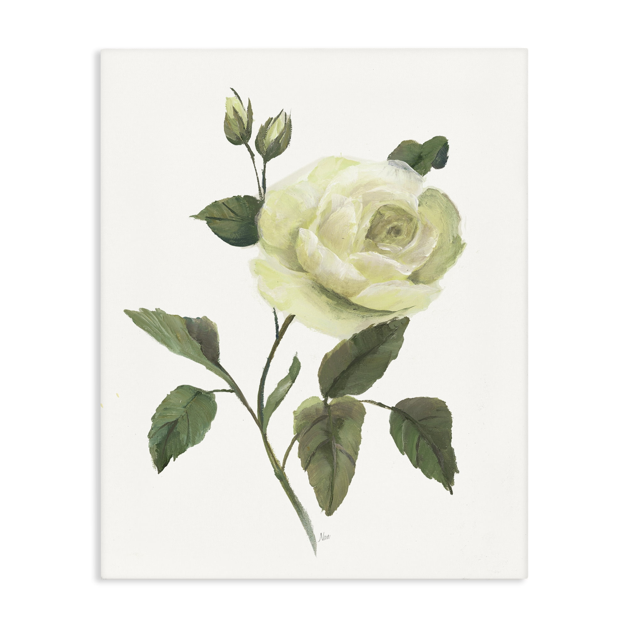 Stupell Industries Cream Garden Rose with Buds Canvas Wall Art, design by Nan