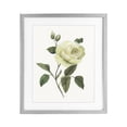 thumbnail image 1 of Stupell Industries Transitional Cream Garden Rose with Buds Gray Framed Print Under Glass, 13 x 16, by Nan, 1 of 8