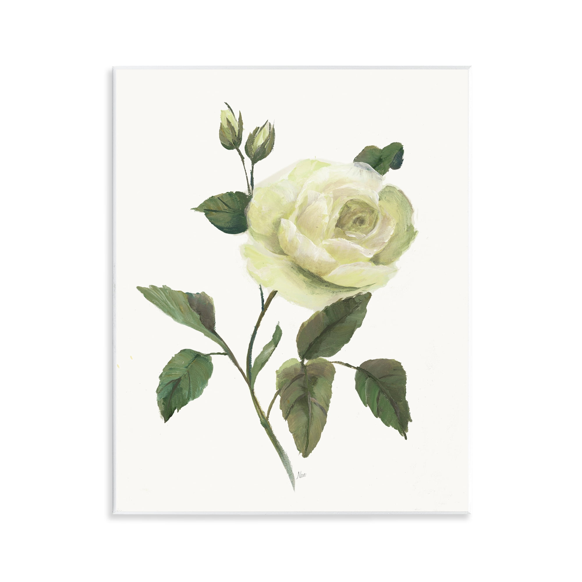 Stupell Industries Cream Garden Rose with Buds Wall Plaque Art, design by Nan