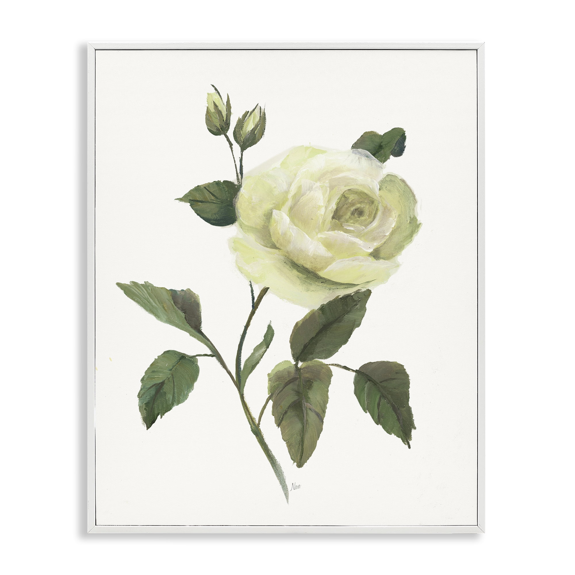 Stupell Industries Cream Garden Rose with Buds White Framed Giclee Art, design by Nan