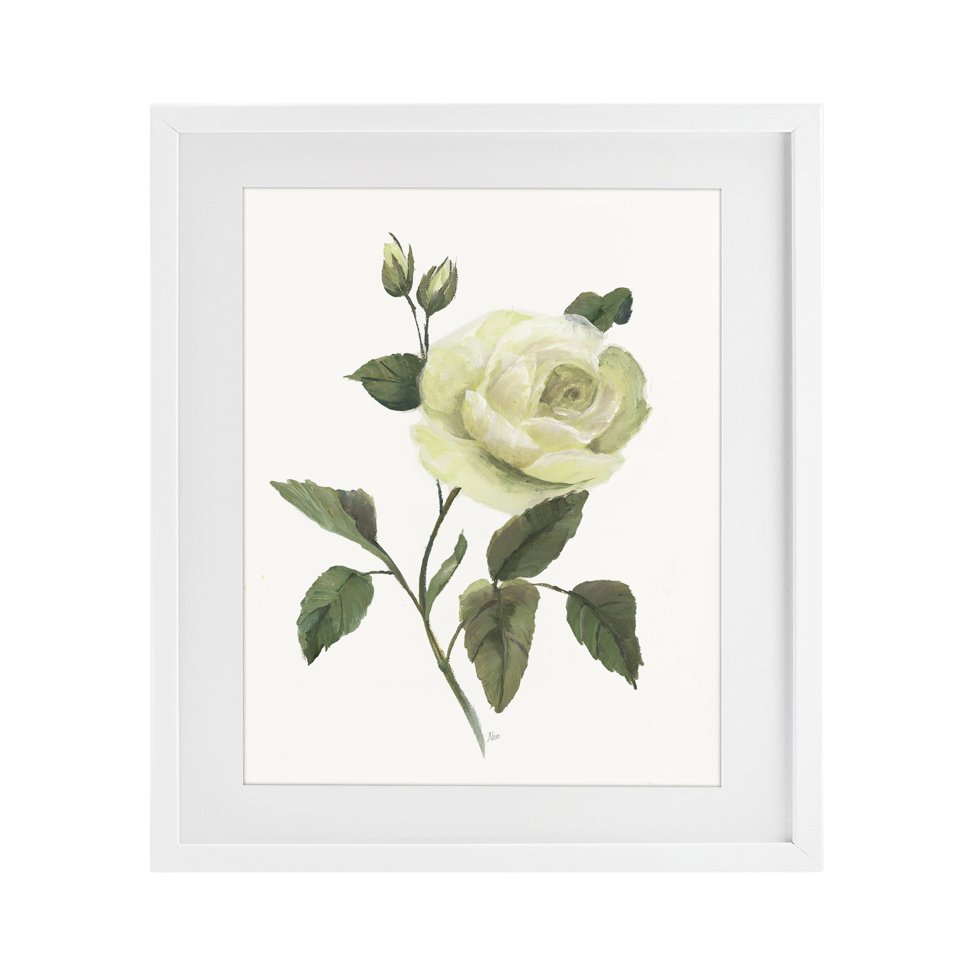Stupell Industries Cream Garden Rose with Buds White Framed Print Under Glass, design by Nan