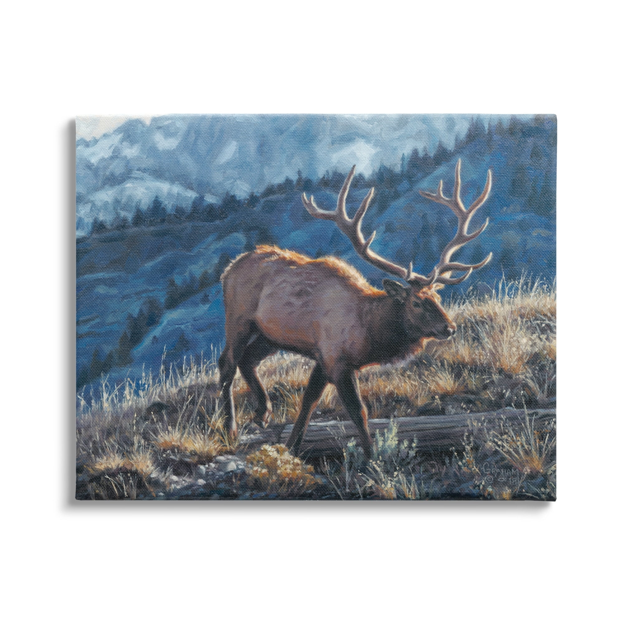 Large Elk Mountain View Canvas Wall Art