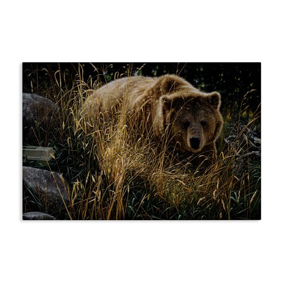 Stupell Industries Rustic Lodge Crossing Paths Grizzly Bear Canvas Art, 24 x 16, by Collin Bogle