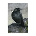 thumbnail image 1 of Stupell Industries Crow & Hummingbird Perched Animals & Insects Painting Gallery Wrapped Canvas Art Print Wall Art, 16 x 24, 1 of 8