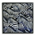 thumbnail image 1 of Stupell Industries Crowded Zebra Herd Black Stripes Animals Painting Graphic Art Black Framed Art Print Wall Art, Design by Alan Weston, 1 of 7