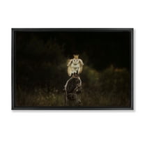 Stupell Industries Crowned Owl Perched Animals & Insects Photography Black Floater Framed Canvas Art Print Wall Art, 25 x 17