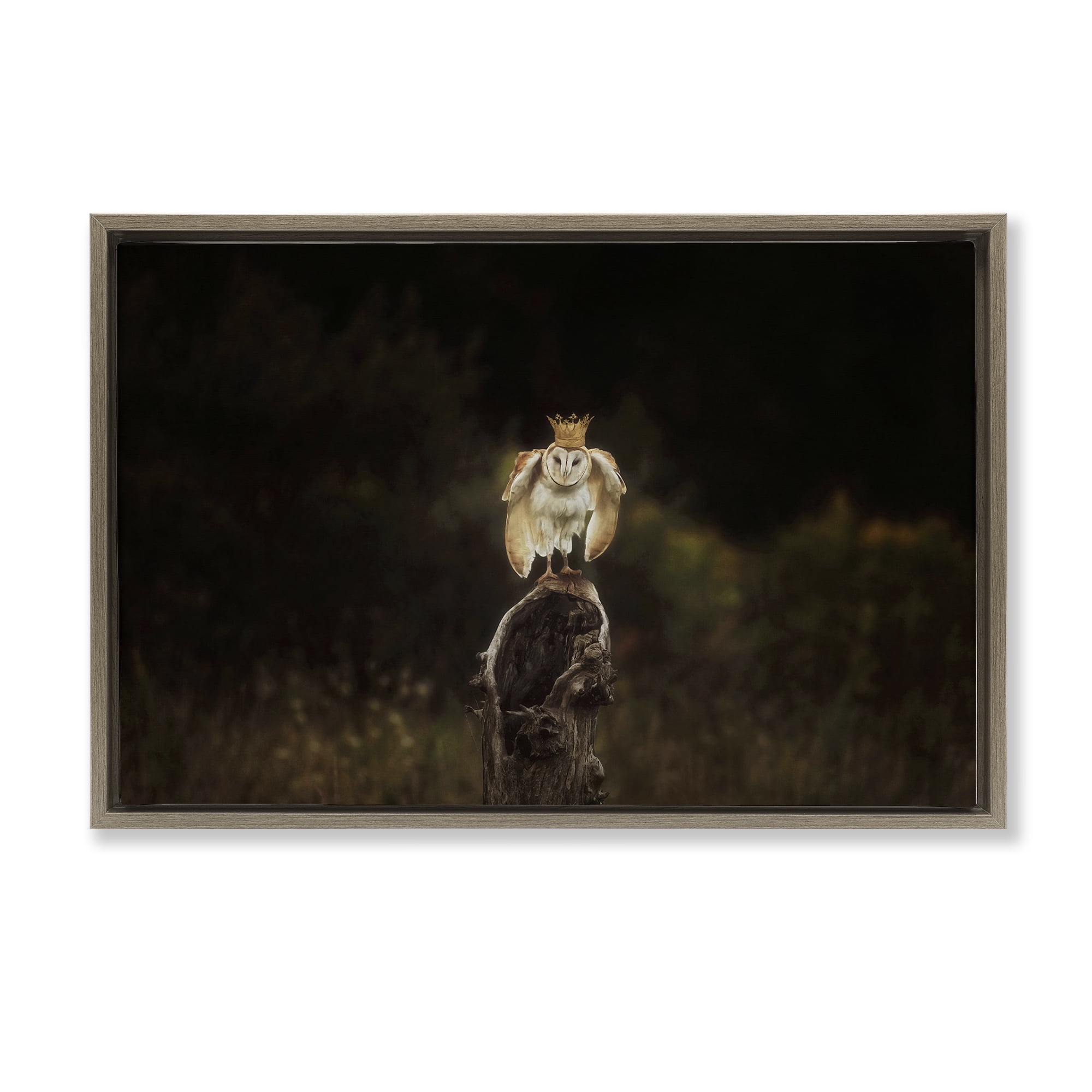 Stupell Industries Crowned Owl Perched Animals & Insects Photography Brown Floater Framed Canvas Art Print Wall Art, 25 x 17