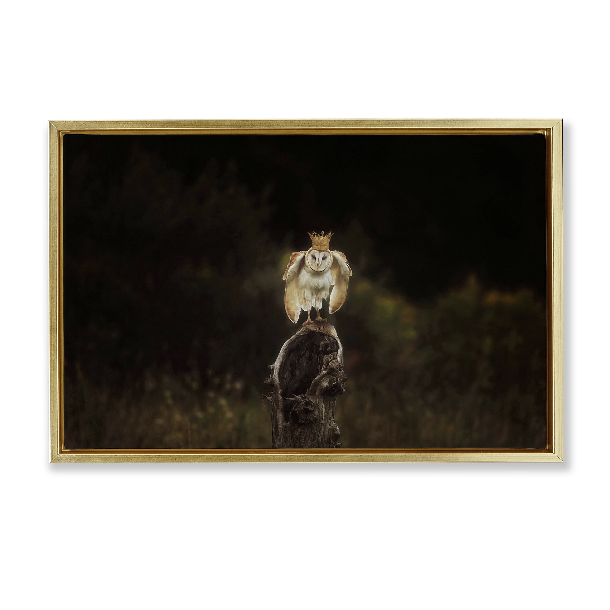 Stupell Industries Crowned Owl Perched Animals & Insects Photography Gold Floater Framed Canvas Art Print Wall Art, 31 x 21