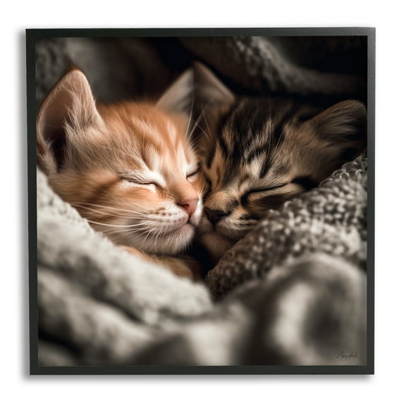 Stupell Industries Cuddling Kittens Portrait Animals & Insects Painting Black Framed Art Print Wall Art, 12 x 12