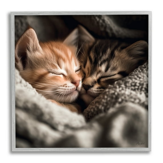 Stupell Industries Cuddling Kittens Portrait Animals & Insects Painting Gray Framed Art Print Wall Art, 24 x 24