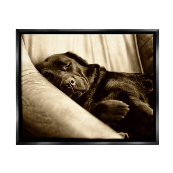 Stupell Industries Cuddling Labrador Dog Sleeping Cozy Sepia Photography Photograph Jet Black Floating Framed Canvas Print Wall Art, Design by James Dobson