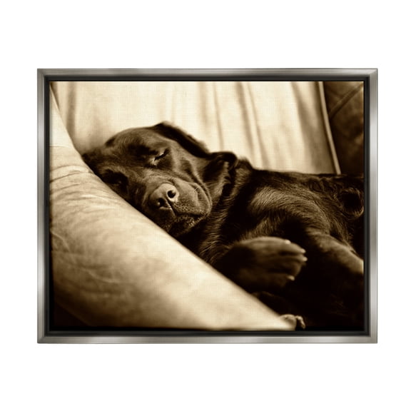Stupell Industries Cuddling Labrador Dog Sleeping Cozy Sepia Photography Photograph Luster Gray Floating Framed Canvas Print Wall Art, Design by James Dobson