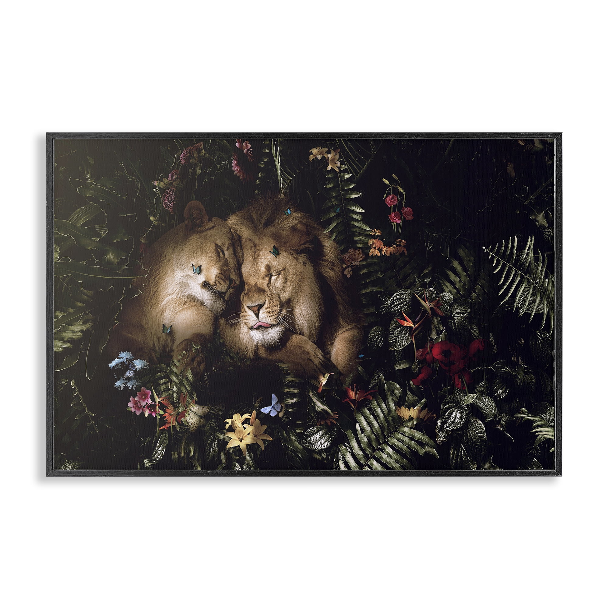 Stupell Industries Cuddling Lions Among Leaves Plants & Flowers Painting Black Framed Art Print Wall Art, 30 x 20