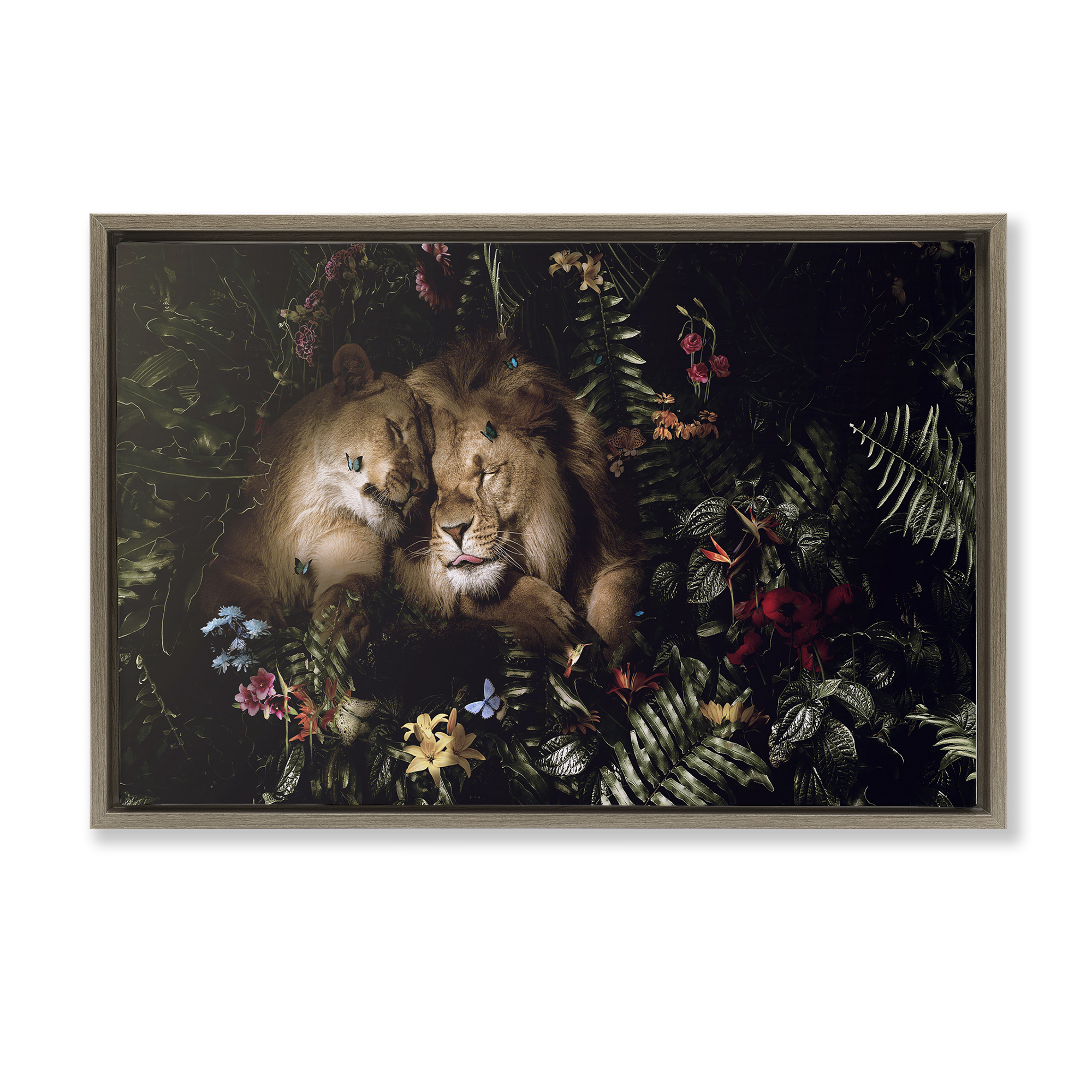 Stupell Industries Cuddling Lions Among Leaves Plants & Flowers Painting Brown Floater Framed Canvas Art Print Wall Art, 31 x 21