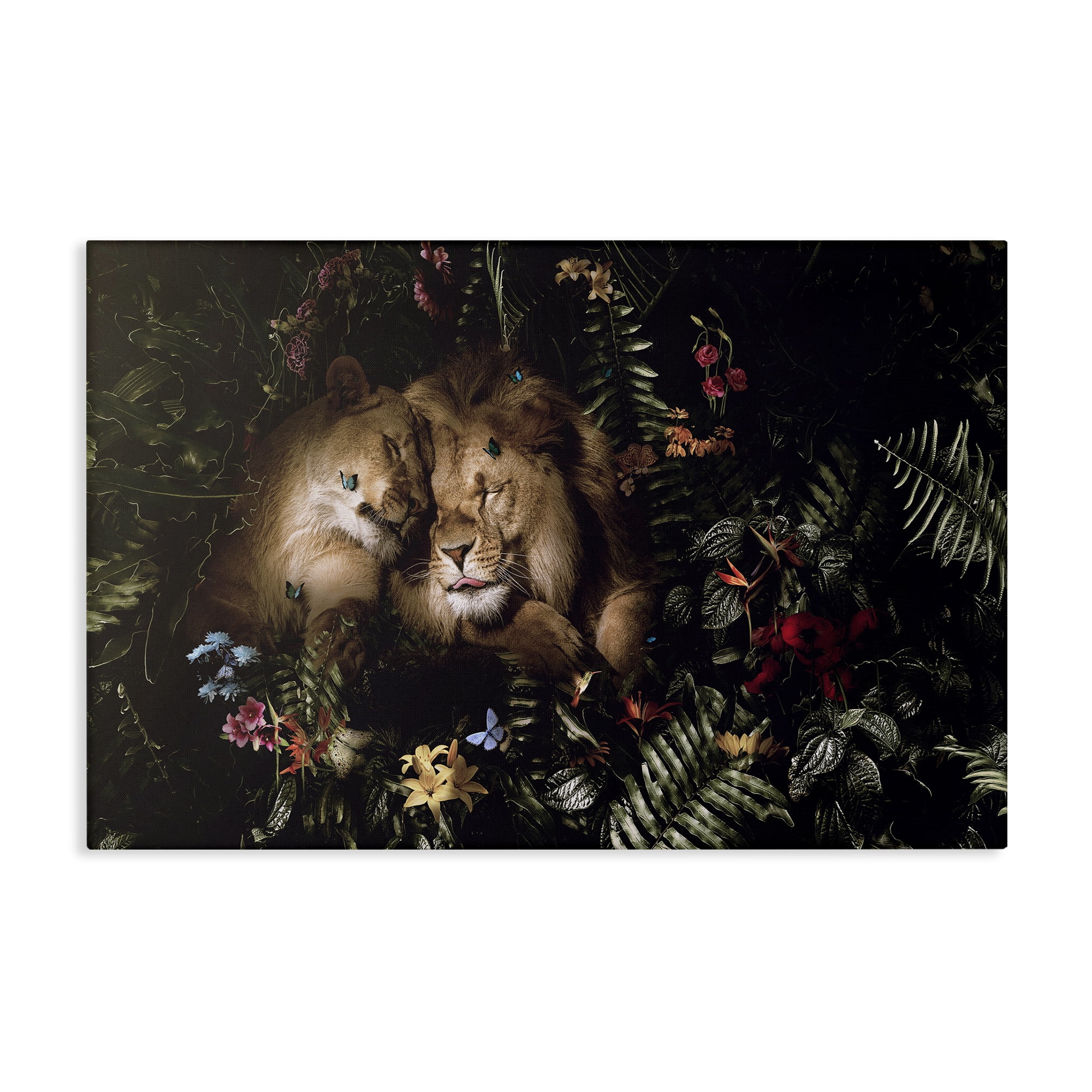 Stupell Industries Cuddling Lions Among Leaves Plants & Flowers Painting Wrapped Canvas Art Print Wall Art, 30 x 20