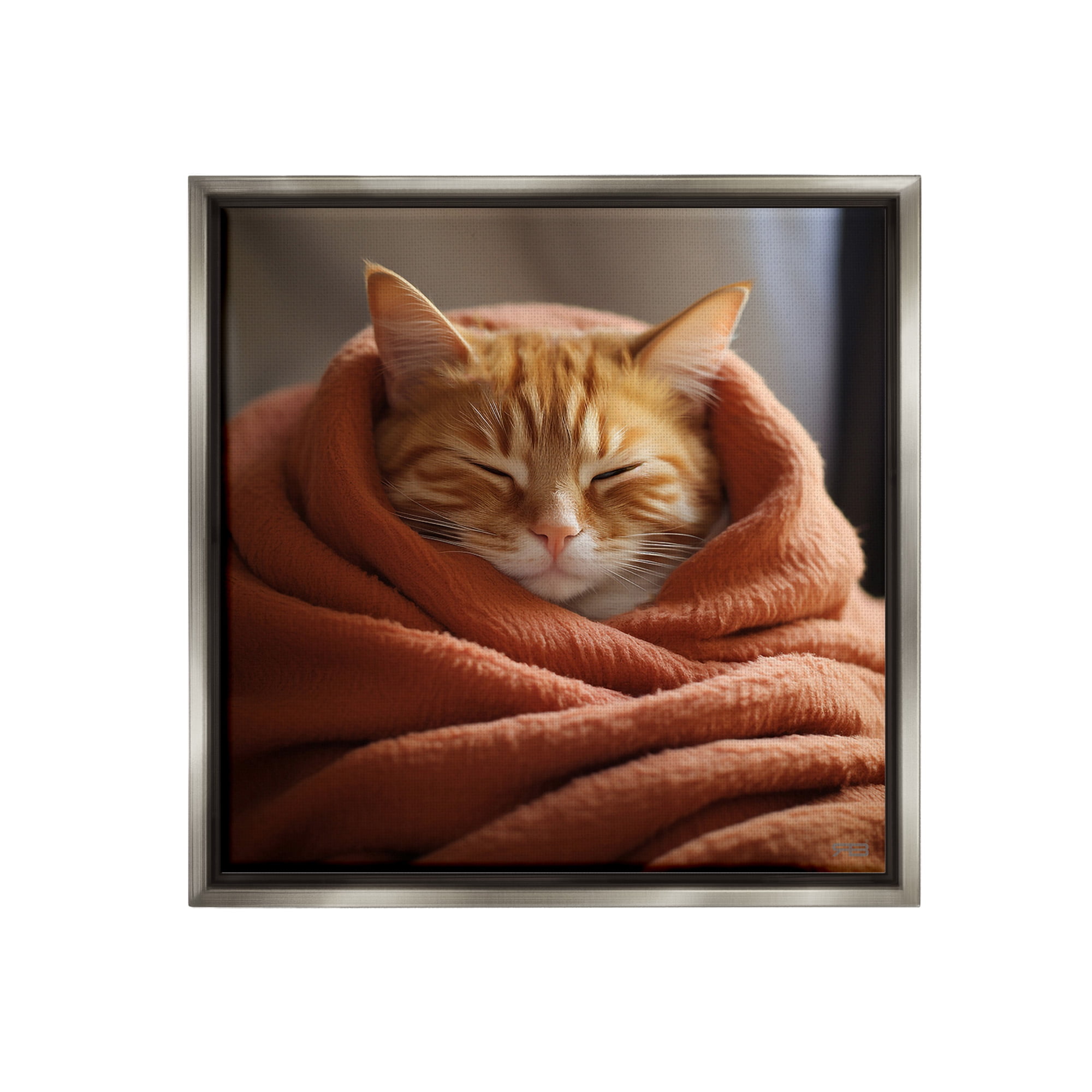 Stupell Industries Cuddling Sleepy Cat Animals & Insects Painting Gray Floater Framed Canvas Art Print Wall Art, 25 x 25