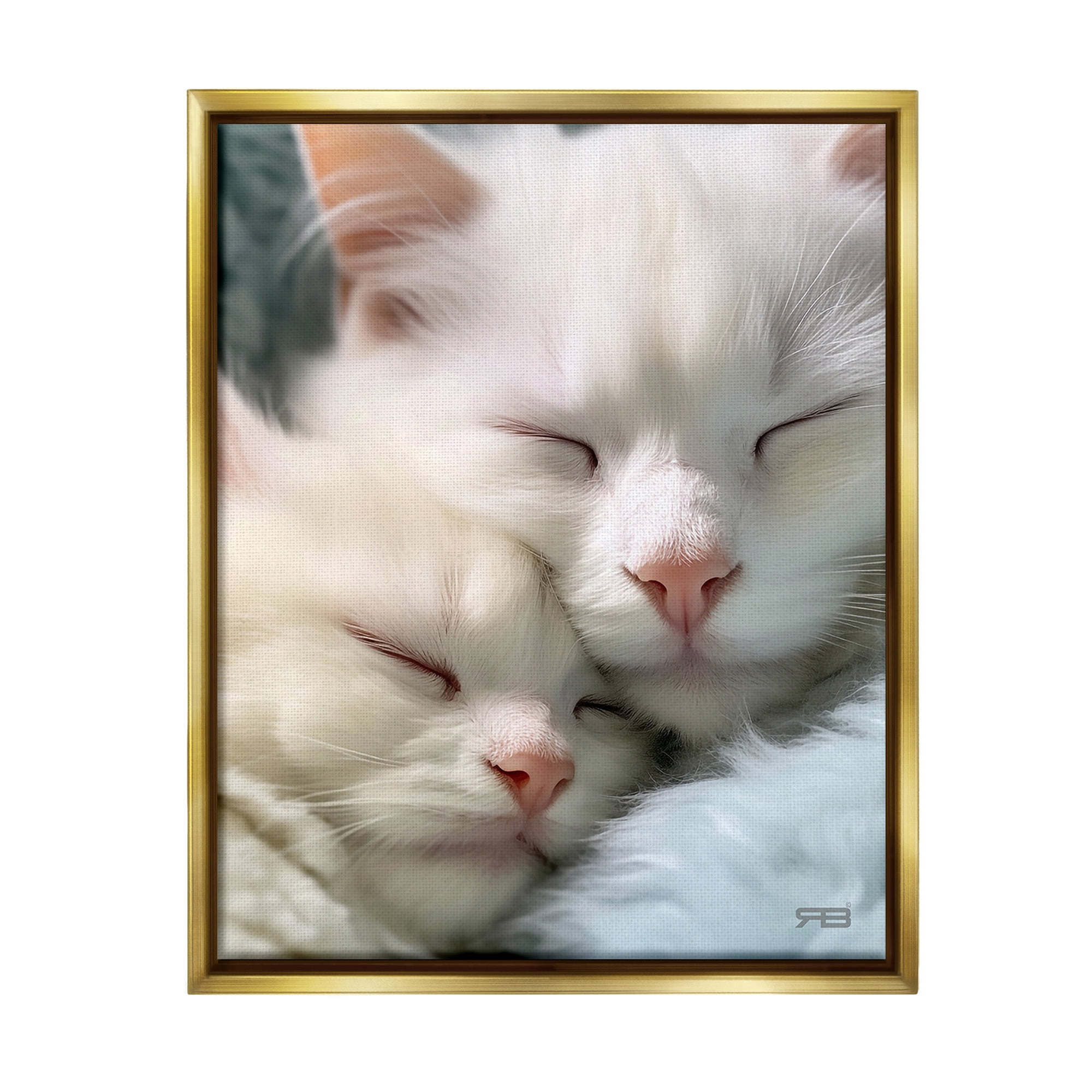 Stupell Industries Cuddling White Cats Animals & Insects Painting Gold Floater Framed Canvas Art Print Wall Art, 17 x 21