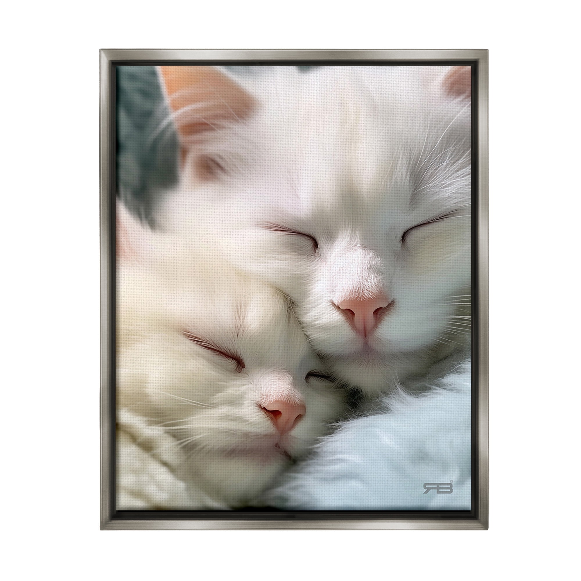 Stupell Industries Cuddling White Cats Animals & Insects Painting Gray Floater Framed Canvas Art Print Wall Art, 17 x 21