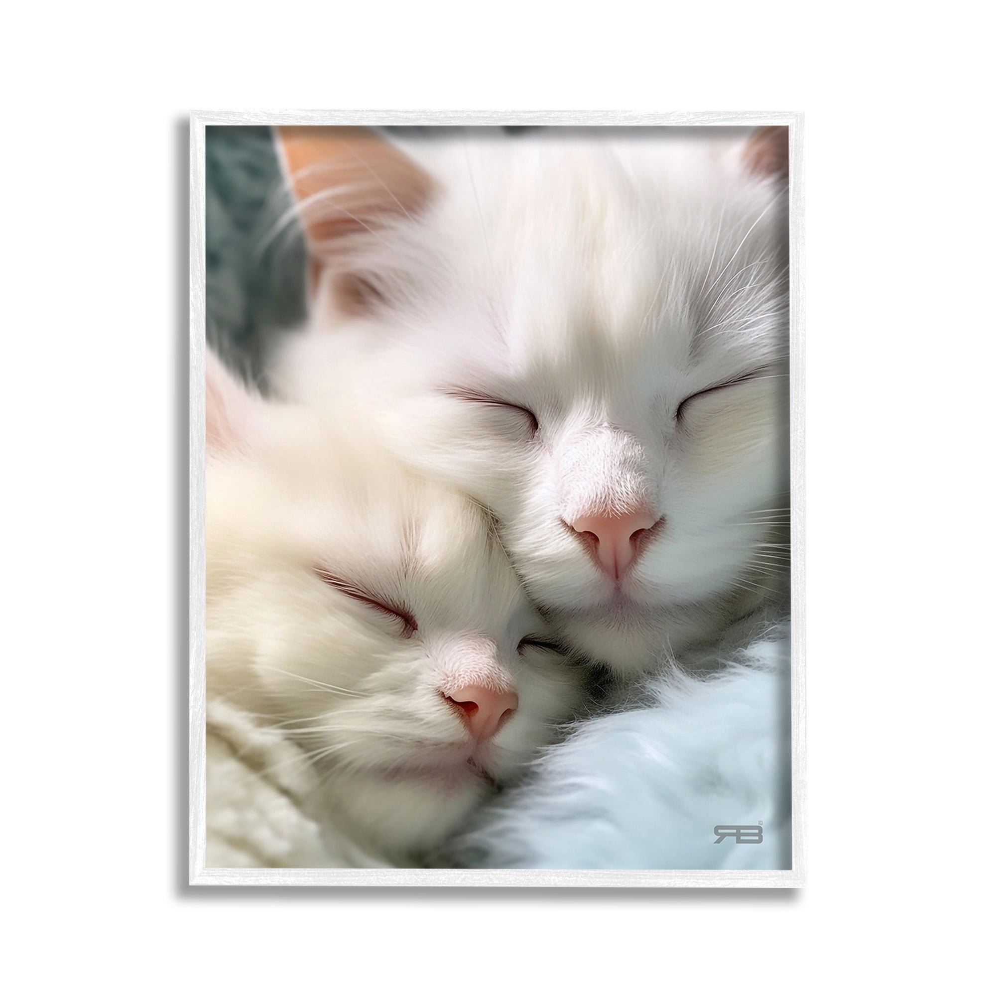 Stupell Industries Cuddling White Cats Animals & Insects Painting White Framed Art Print Wall Art, 11 x 14